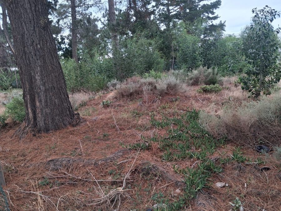 0 Bedroom Property for Sale in Bot River Western Cape